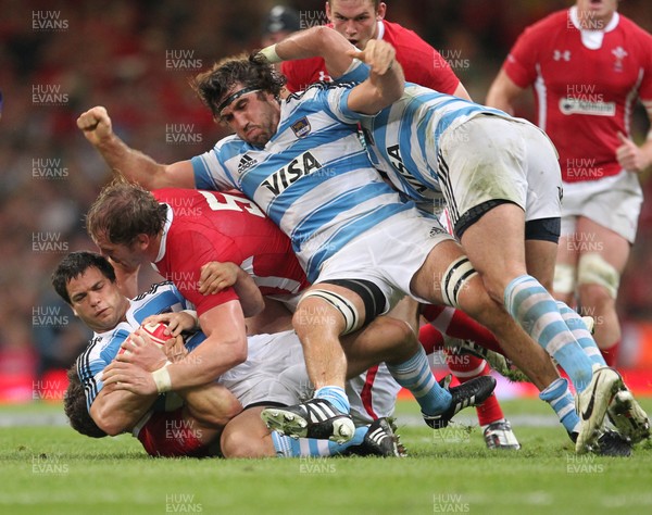 20.08.11 Wales v Argentina. Argentina's Nicolas Vergallo is tackled by George North and Alun Wyn Jones. 