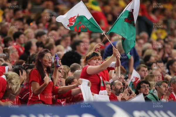 20.08.11 Wales v Argentina. Fans. 