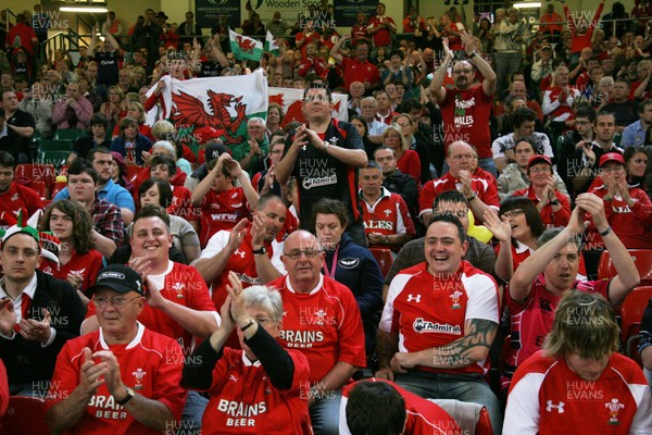 20.08.11 Wales v Argentina. Fans. 