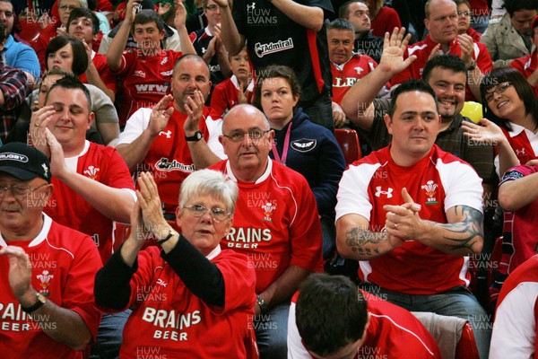 20.08.11 Wales v Argentina. Fans. 