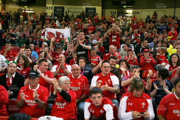 20.08.11 Wales v Argentina. Fans. 