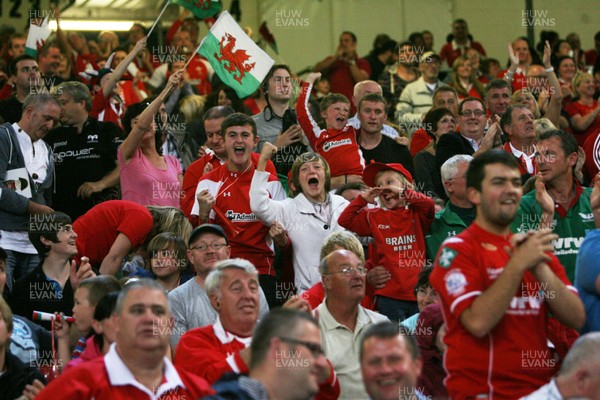 20.08.11 Wales v Argentina. Fans. 