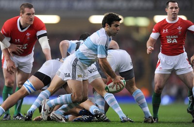 21.11.09 - Wales v Argentina - Invesco Perpetual Series 2009 - Argentina's Agustin Figuerola. 