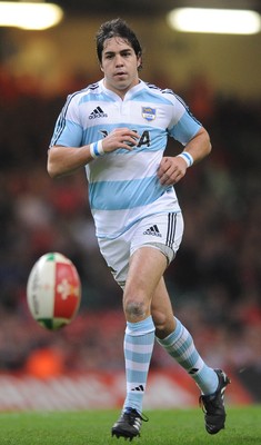 21.11.09 - Wales v Argentina - Invesco Perpetual Series 2009 - Argentina's Horacio Agulla. 