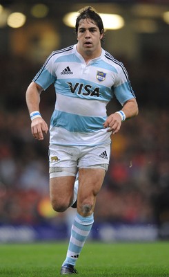 21.11.09 - Wales v Argentina - Invesco Perpetual Series 2009 - Argentina's Horacio Agulla. 