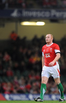 21.11.09 - Wales v Argentina - Invesco Perpetual Series 2009 - Wales' Martyn Williams. 