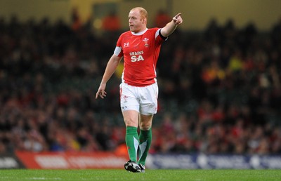 21.11.09 - Wales v Argentina - Invesco Perpetual Series 2009 - Wales' Martyn Williams. 
