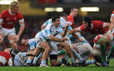 21.11.09 - Wales v Argentina - Invesco Perpetual Series 2009 - Argentina's Agustin Figuerola. 