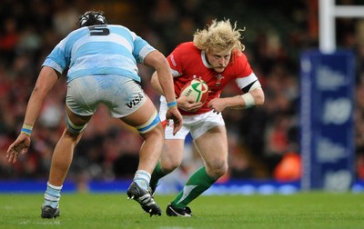 21.11.09 - Wales v Argentina - Invesco Perpetual Series 2009 - Wales' Duncan Jones. 