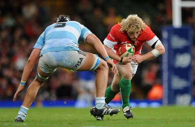 21.11.09 - Wales v Argentina - Invesco Perpetual Series 2009 - Wales' Duncan Jones. 