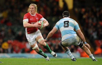 21.11.09 - Wales v Argentina - Invesco Perpetual Series 2009 - Wales' Andy Powell. 