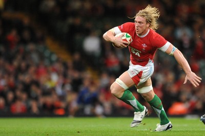 21.11.09 - Wales v Argentina - Invesco Perpetual Series 2009 - Wales' Andy Powell. 