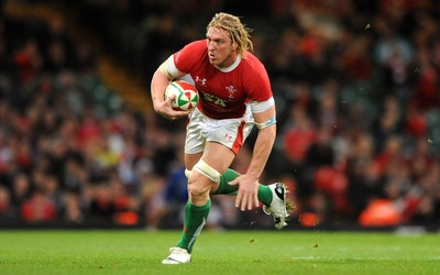 21.11.09 - Wales v Argentina - Invesco Perpetual Series 2009 - Wales' Andy Powell. 