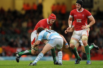 21.11.09 - Wales v Argentina - Invesco Perpetual Series 2009 - Wales' Alun-Wyn Jones with Luke Charteris in support. 