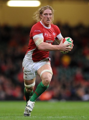 21.11.09 - Wales v Argentina - Invesco Perpetual Series 2009 - Wales' Andy Powell. 