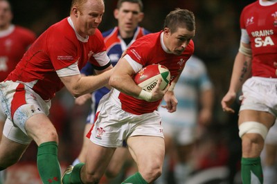21.11.09 - Wales v Argentina... Wales' Shane Williams dives in to score try. 