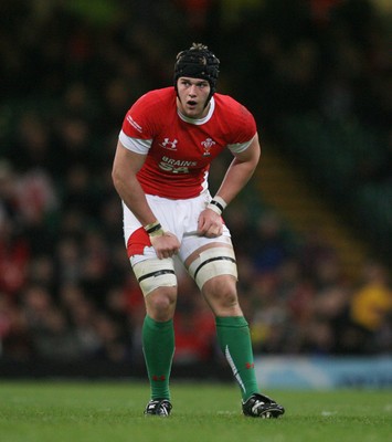 21.11.09 - Wales v Argentina... Wales' Dan Lydiate. 