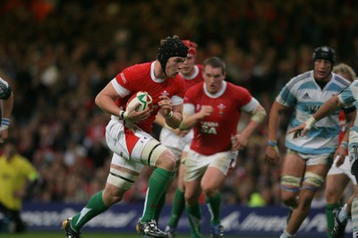 21.11.09 - Wales v Argentina... Wales' Dan Lydiate. 