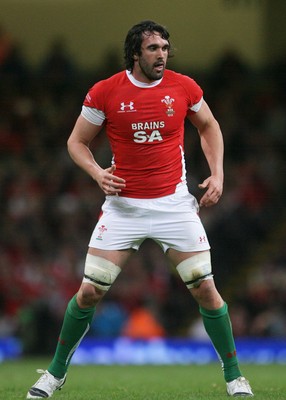 21.11.09 - Wales v Argentina... Wales' Jonathan Thomas. 