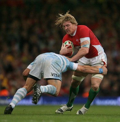 21.11.09 - Wales v Argentina... Wales' Andy Powell takes on Argentina's Martin Scelzo. 
