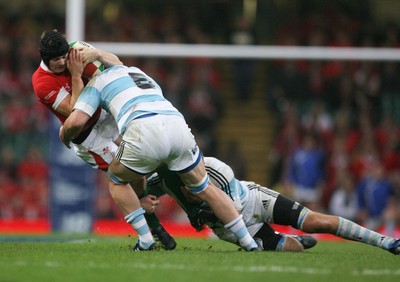 21.11.09 - Wales v Argentina... Wales' Leigh Halfpenny is tackled by Argentina's Tomas Leonardi and  Juan Martin Fernandez Lobbe. 