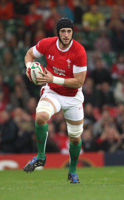 21.11.09... Wales v Argentina, Invesco Perpetual Series 2009 -  Wales' Luke Charteris 