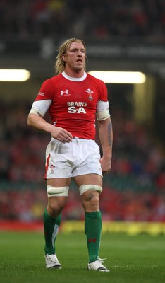 21.11.09... Wales v Argentina, Invesco Perpetual Series 2009 -  Wales' Andy Powell 