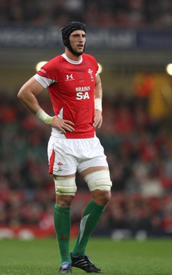 21.11.09... Wales v Argentina, Invesco Perpetual Series 2009 -  Wales' Luke Charteris 