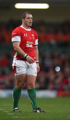 21.11.09... Wales v Argentina, Invesco Perpetual Series 2009 -  Wales' Paul James 