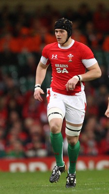 21.11.09... Wales v Argentina, Invesco Perpetual Series 2009 -  Wales' Dan Lydiate 