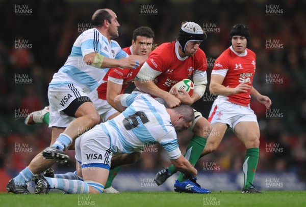 21.11.09 - Wales v Argentina - Invesco Perpetual Series 2009 - Wales' Ryan Jones  is tackled by Argentina's Tomas Leonardi. 