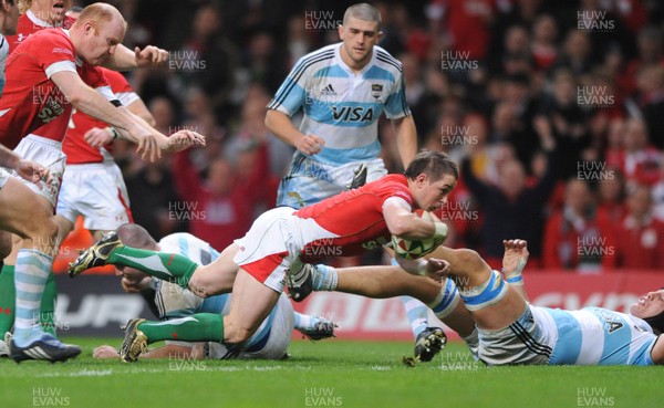 21.11.09 - Wales v Argentina - Invesco Perpetual Series 2009 - Wales' Shane Williams dives in to score try. 