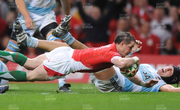 21.11.09 - Wales v Argentina - Invesco Perpetual Series 2009 - Wales' Shane Williams dives in to score try. 