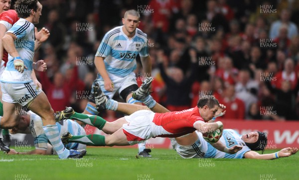 21.11.09 - Wales v Argentina - Invesco Perpetual Series 2009 - Wales' Shane Williams dives in to score try. 