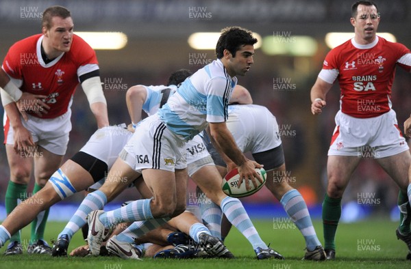 21.11.09 - Wales v Argentina - Invesco Perpetual Series 2009 - Argentina's Agustin Figuerola. 