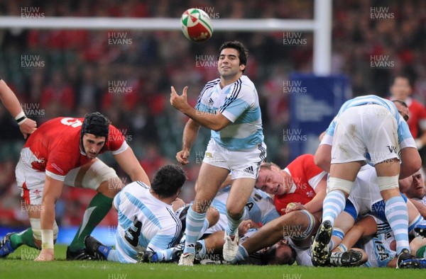 21.11.09 - Wales v Argentina - Invesco Perpetual Series 2009 - Argentina's Agustin Figuerola. 