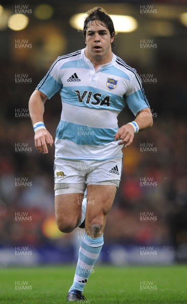 21.11.09 - Wales v Argentina - Invesco Perpetual Series 2009 - Argentina's Horacio Agulla. 