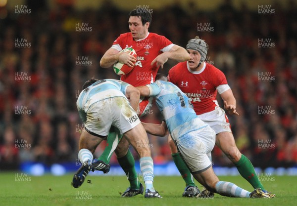 21.11.09 - Wales v Argentina - Invesco Perpetual Series 2009 - Wales' Stephen Jones. 