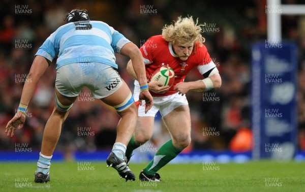 21.11.09 - Wales v Argentina - Invesco Perpetual Series 2009 - Wales' Duncan Jones. 