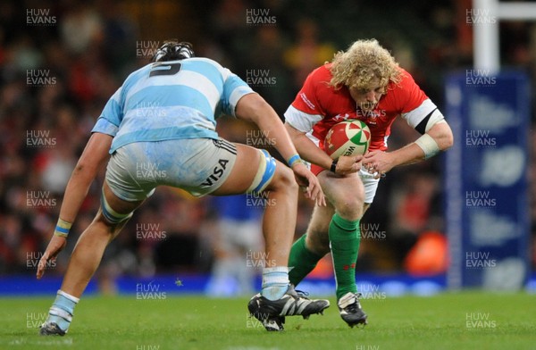 21.11.09 - Wales v Argentina - Invesco Perpetual Series 2009 - Wales' Duncan Jones. 