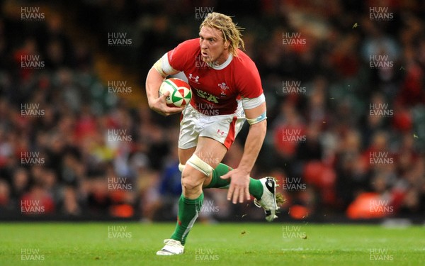 21.11.09 - Wales v Argentina - Invesco Perpetual Series 2009 - Wales' Andy Powell. 