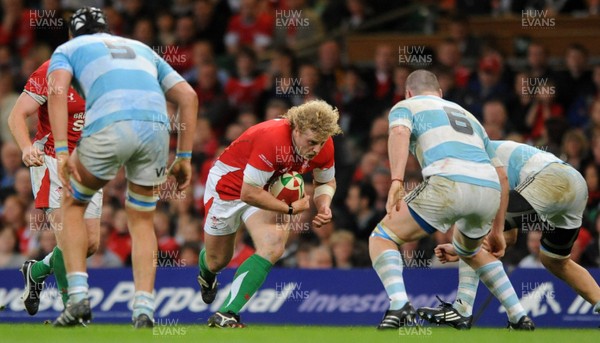 21.11.09 - Wales v Argentina - Invesco Perpetual Series 2009 - Wales' Duncan Jones. 