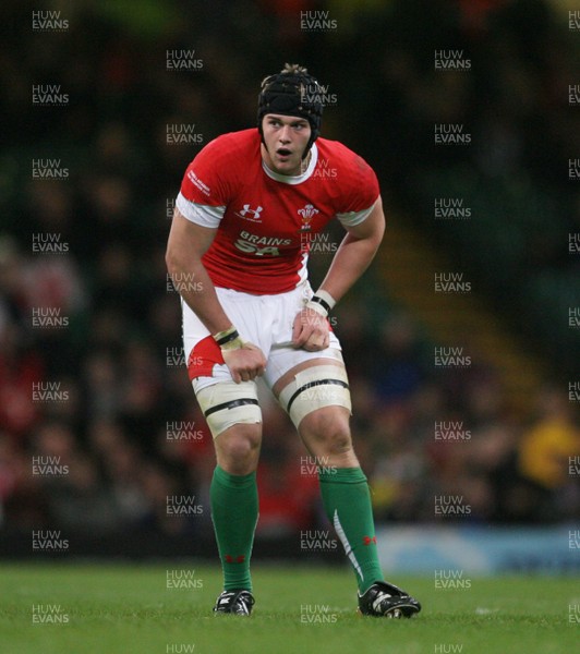 21.11.09 - Wales v Argentina... Wales' Dan Lydiate. 