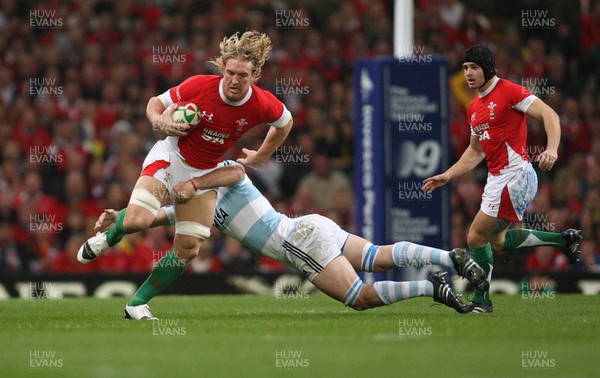 21.11.09... Wales v Argentina, Invesco Perpetual Series 2009 -  Wales' Andy Powell takes on Argentina's Tomas Leonardi 