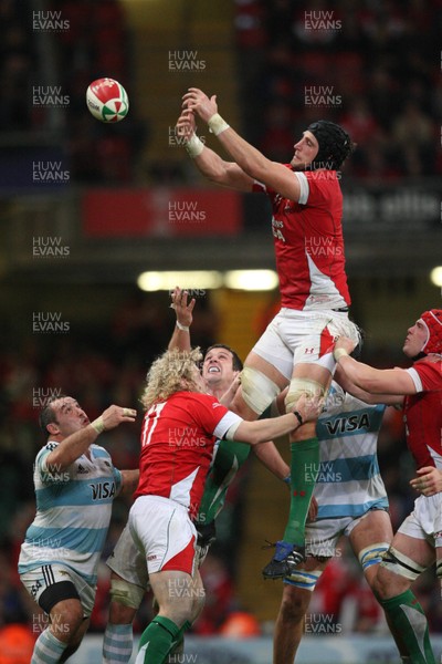 21.11.09... Wales v Argentina, Invesco Perpetual Series 2009 -  Wales' Luke Charteris claims lineout ball 