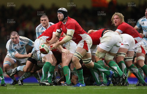21.11.09... Wales v Argentina, Invesco Perpetual Series 2009 -  Wales' Ryan Jones makes the ball available 