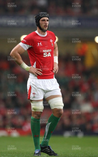 21.11.09... Wales v Argentina, Invesco Perpetual Series 2009 -  Wales' Luke Charteris 