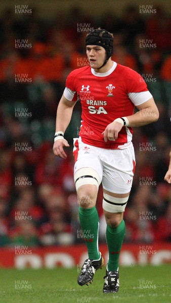 21.11.09... Wales v Argentina, Invesco Perpetual Series 2009 -  Wales' Dan Lydiate 