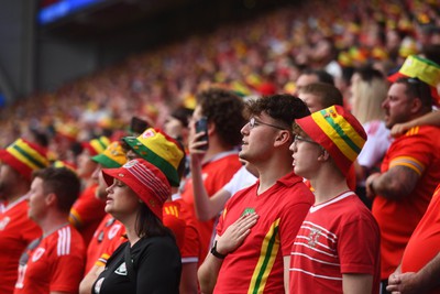 160623 - Wales v Armenia - UEFA European Championship Qualifers - Wales supporters