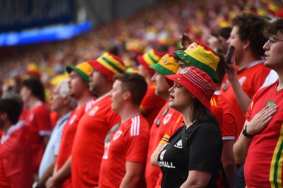 160623 - Wales v Armenia - UEFA European Championship Qualifers - Wales supporters